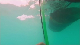 Australian Survivor - Season 14 Episode 06